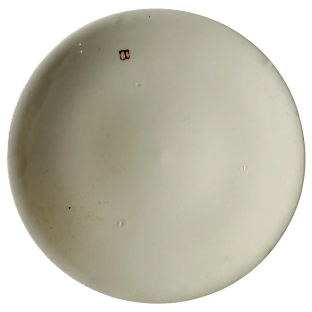 Salem china charming blue